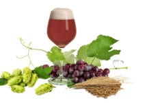 Birra IGA (Italian Grape Ale): L’elegante incontro tra due mondi! Birra IGA