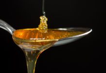 Birra al Miele: quando il prezioso frutto delle api abbraccia con gusto l’arte del fare birra Birra al Miele: quando il prezioso frutto delle api abbraccia con gusto l'arte del fare birra